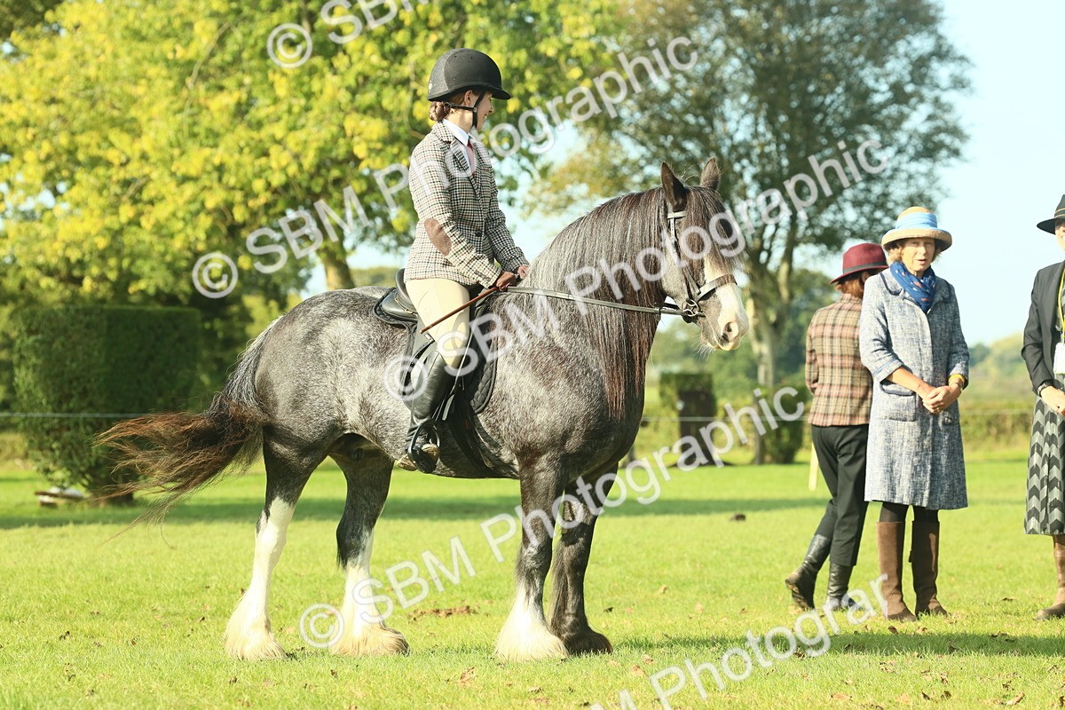 SBM_59228 - S38 - Starters Ridden Showing