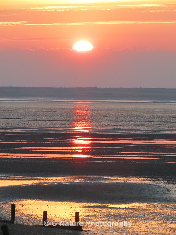 Half Light - Sunsets