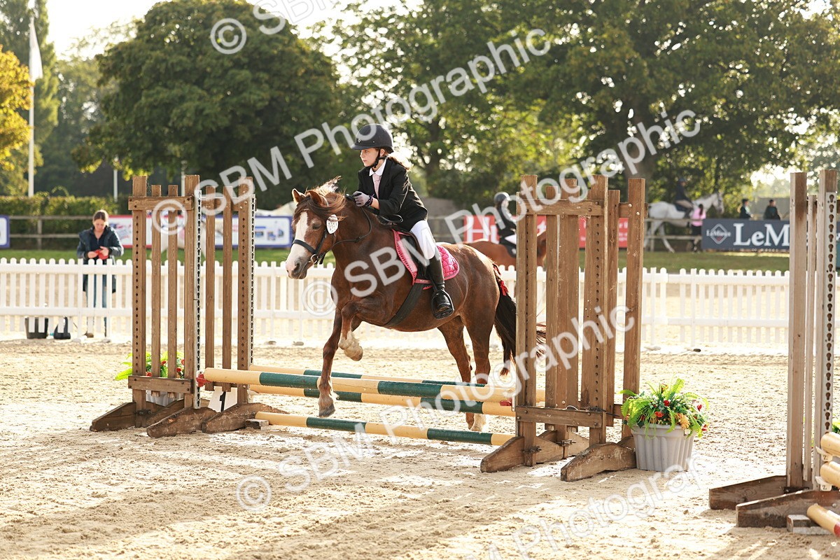 SBM_55602 - J11 - Junior Pony 50cm Championship