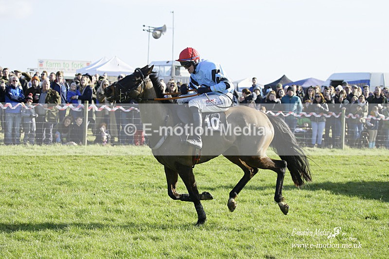 PtP 300122 124 - South Dorset Hunt - Point-to-Point Races 30/01/2022