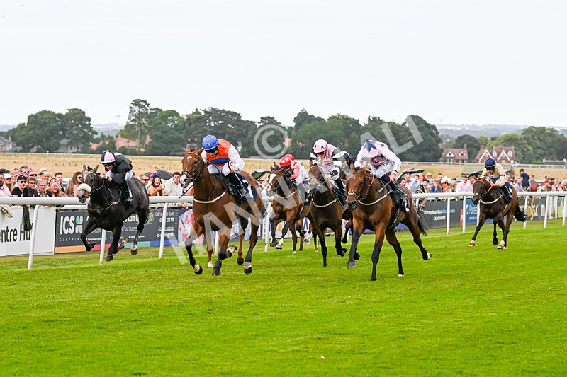 140824-Race 7-Willolarupi-7133 - Race 7