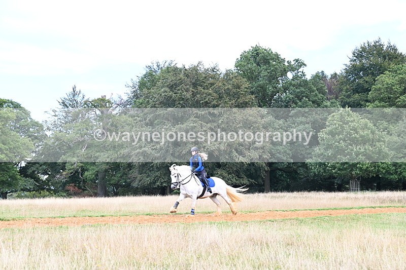 DSC_8739 - Time at Statue 14:33 to 15:10