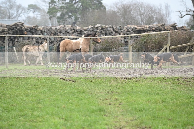 WJ6_5874 - Camera A