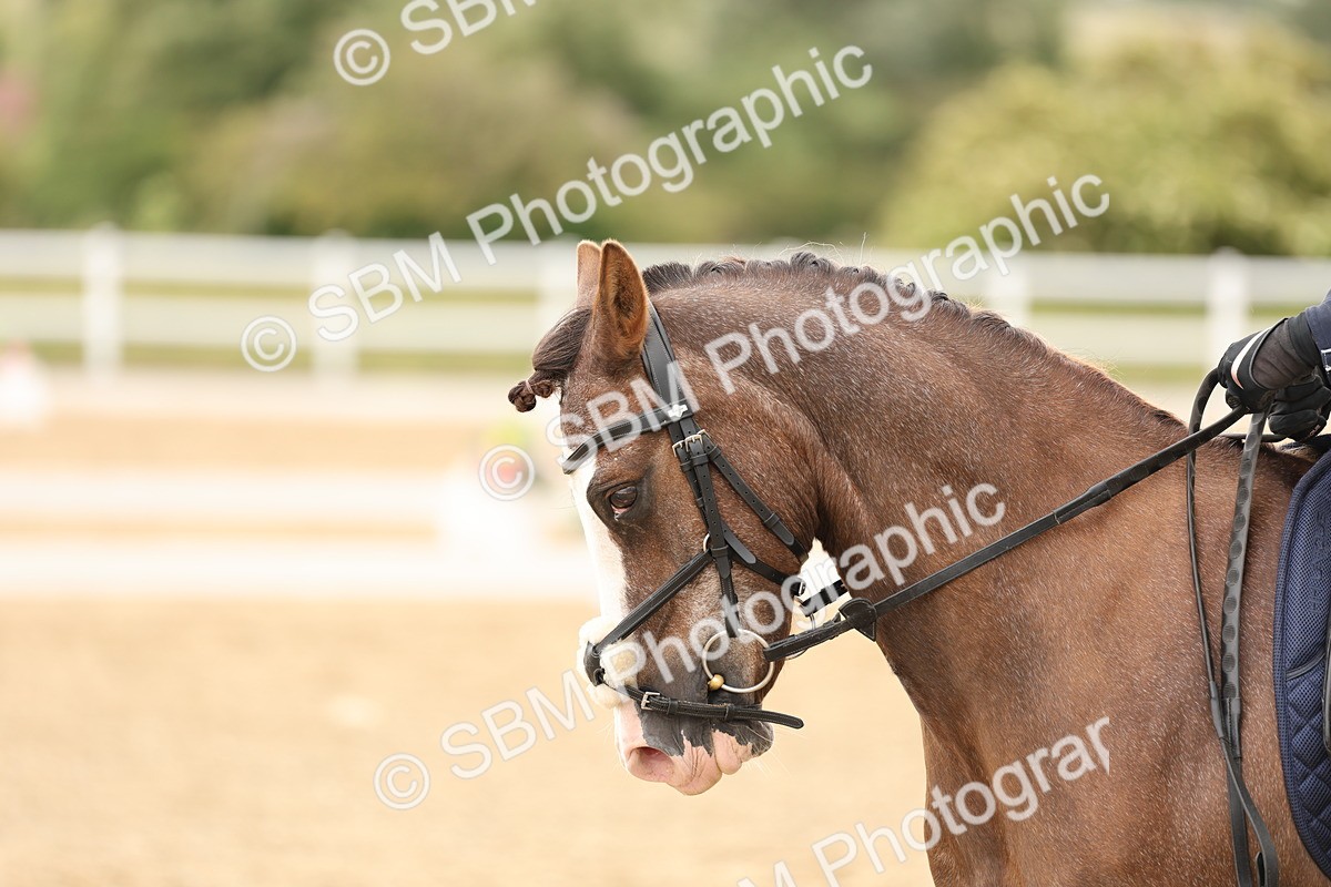 SBM_002507_Class 6a - Novice 5 - 1153 - Mialee