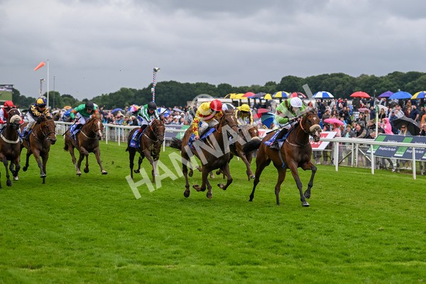 150624-Race 2-Tolstoy-6868 - Race 2 2.25pm Sky Bet Proud To Support Macmillan Handicap