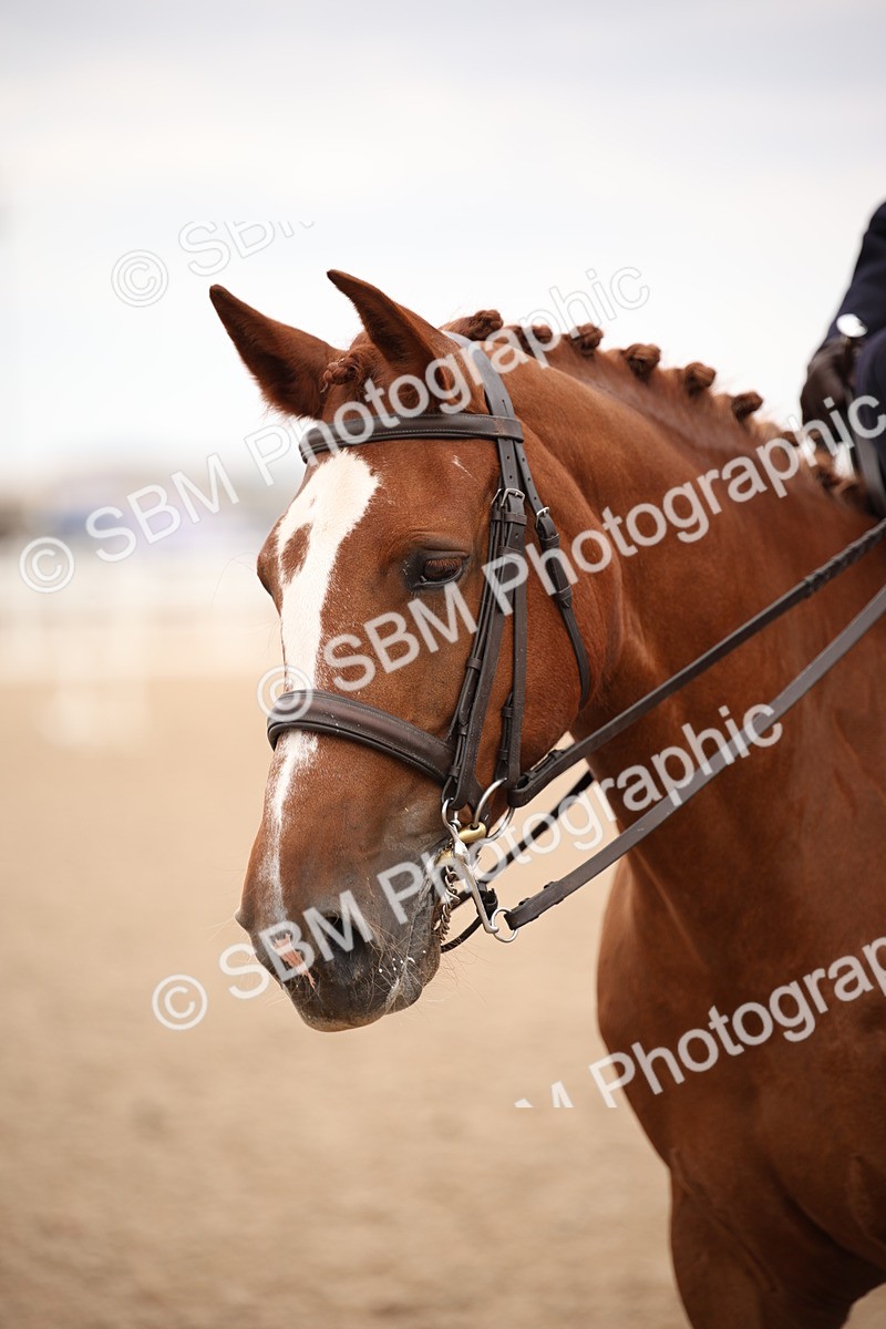 SBM_05482 - Class 22 SSA Equitation