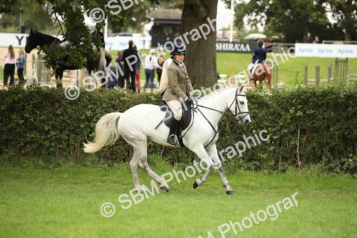 SBM_73781 - S41 - Ridden Equitation (Best Rider)