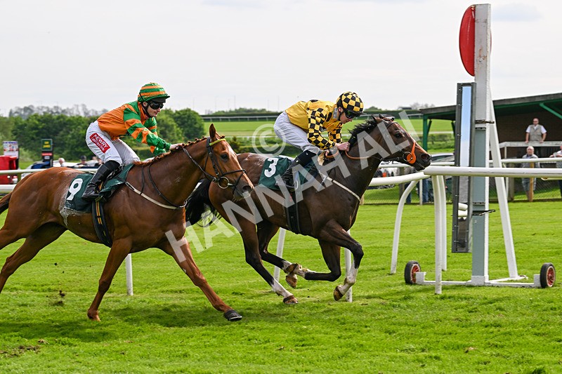 130524-Race 5-Sherdil-0606 - Race 5