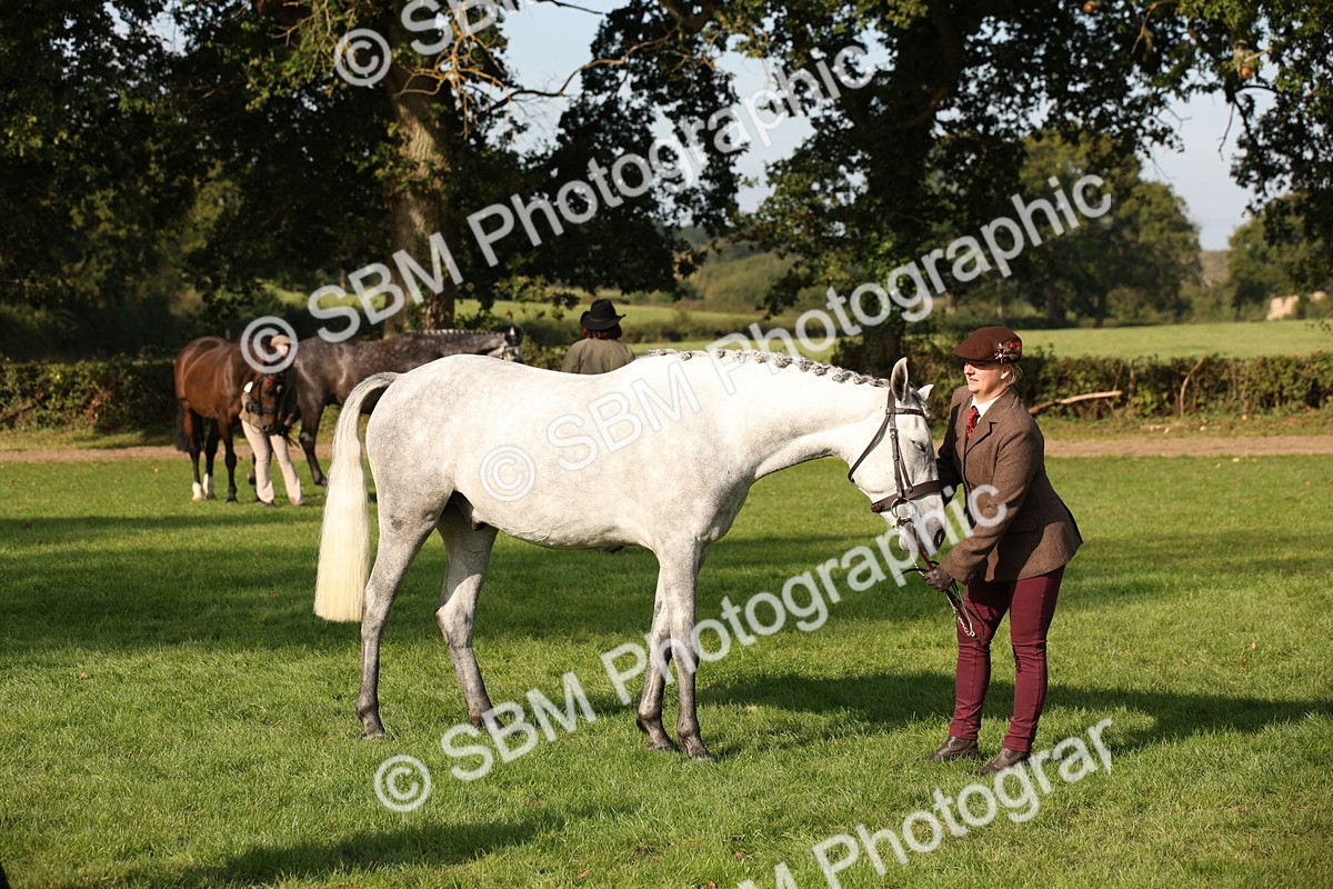 SBM_60096 - S53 - Hunter In Hand
