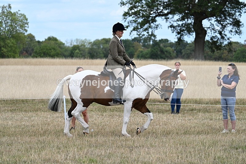 WJ7_4853 - Class 12 Ridden Cob