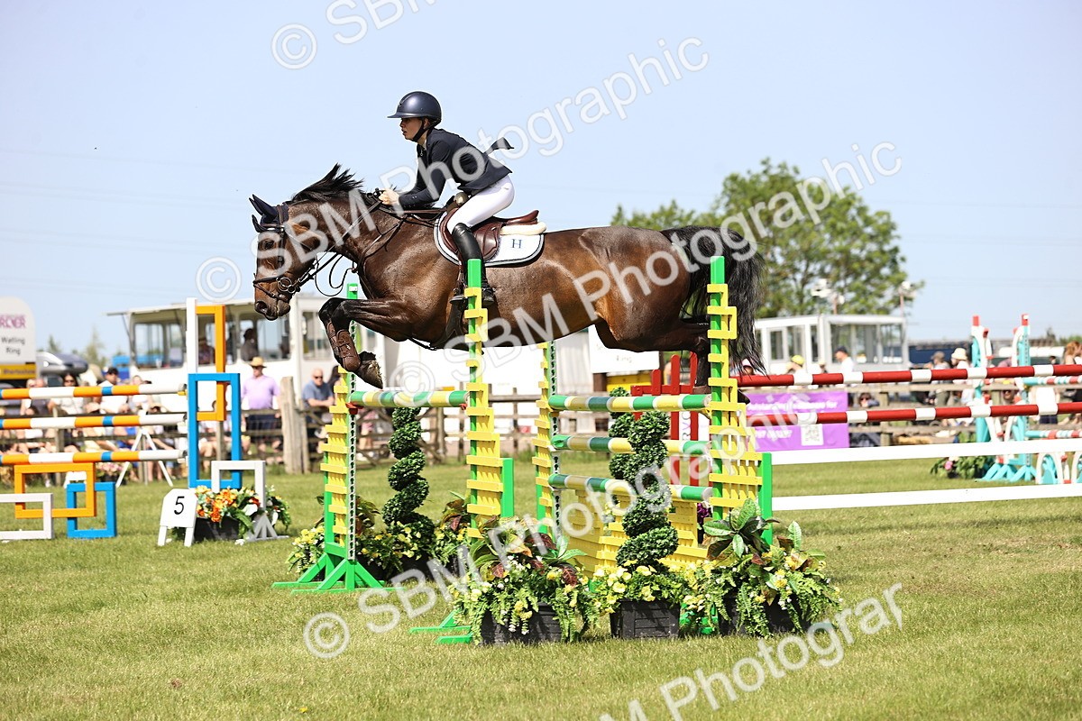 SBM_03128 - Class 201 - British Horse Feedds Speedi Beet HOYS Grade C