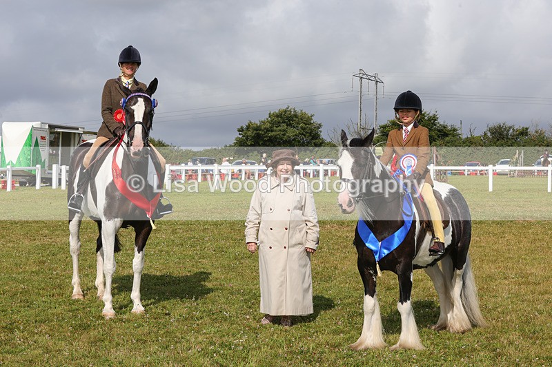 1X9A3520 - Skewbald and Piebald Ridden Championship