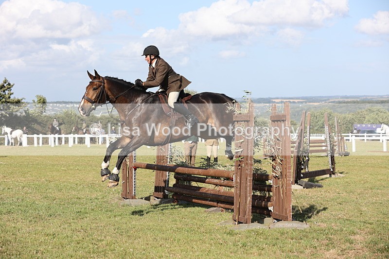 JPP_3086 - Class 21: Working Hunter 80cm