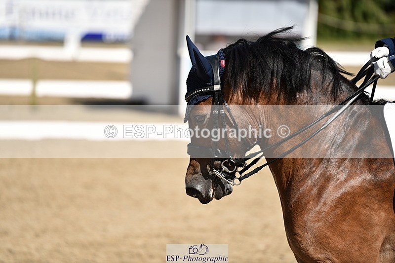 140110A-050704-12380 - 158-Alison.Crimp-Crwys.Beau