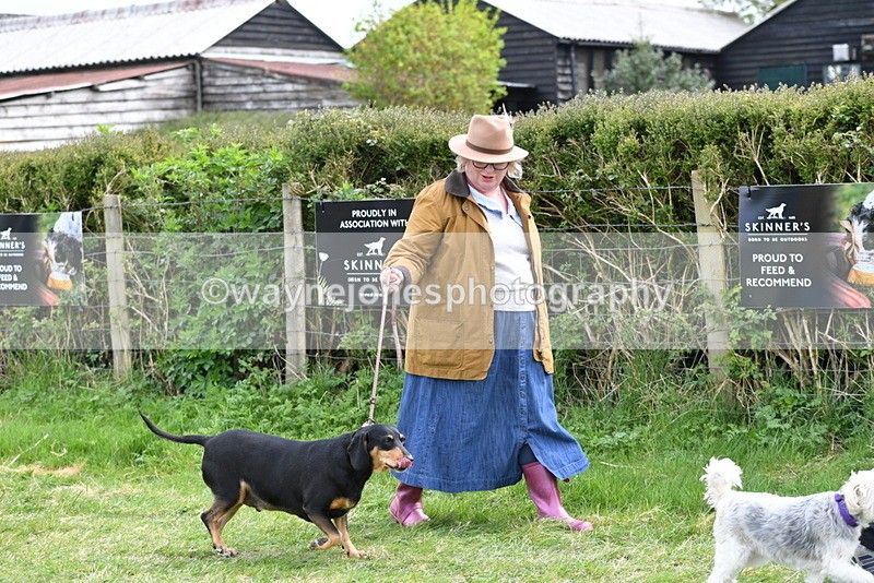 WJ5_9920 - Class 5 Best Veteran / 7 years & over