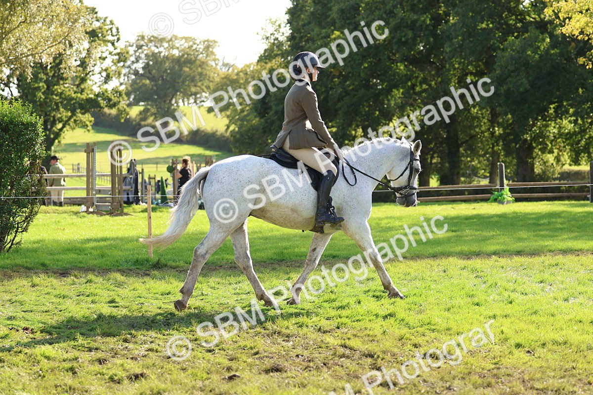 SBM_52384 - S13 - Pony Club Pony