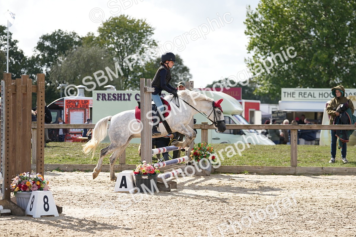 SBM_47007 - J7 - Junior Pony 60cm Championship