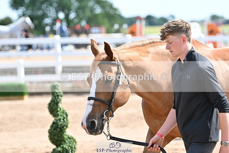 240717A-153710-02920 - Trot Up 3pm to 4pm