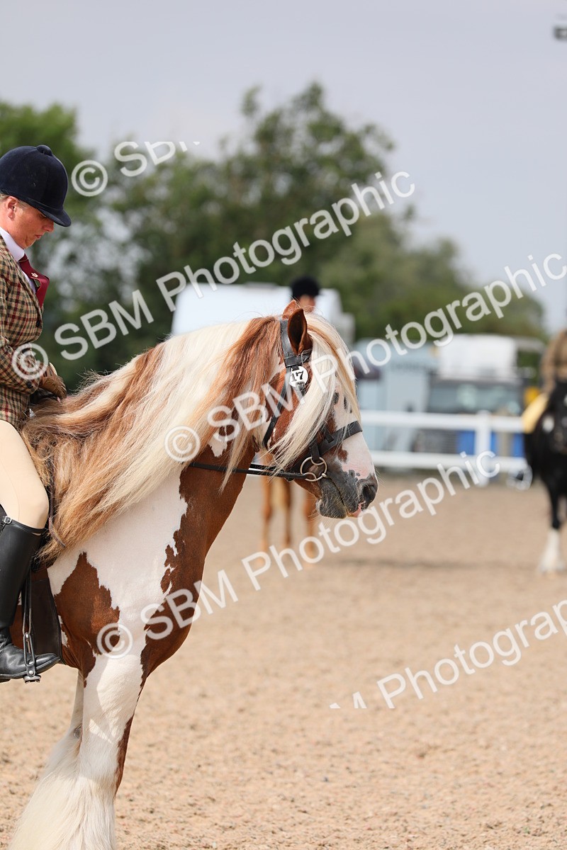 SBM_12768 - Class 307 Ridden Coloured Pony