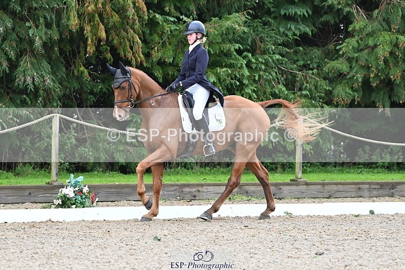 231019-122239-03079 - 113-RIVERSTOWN.ROYAL-Georgie.Frow-DR