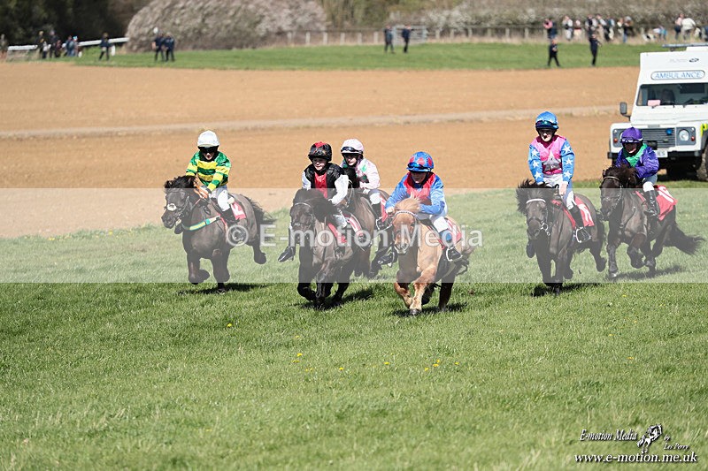 Shet 060426 252 - Shetland Pony Racing Paxford Races Easter Mon 06/04/26