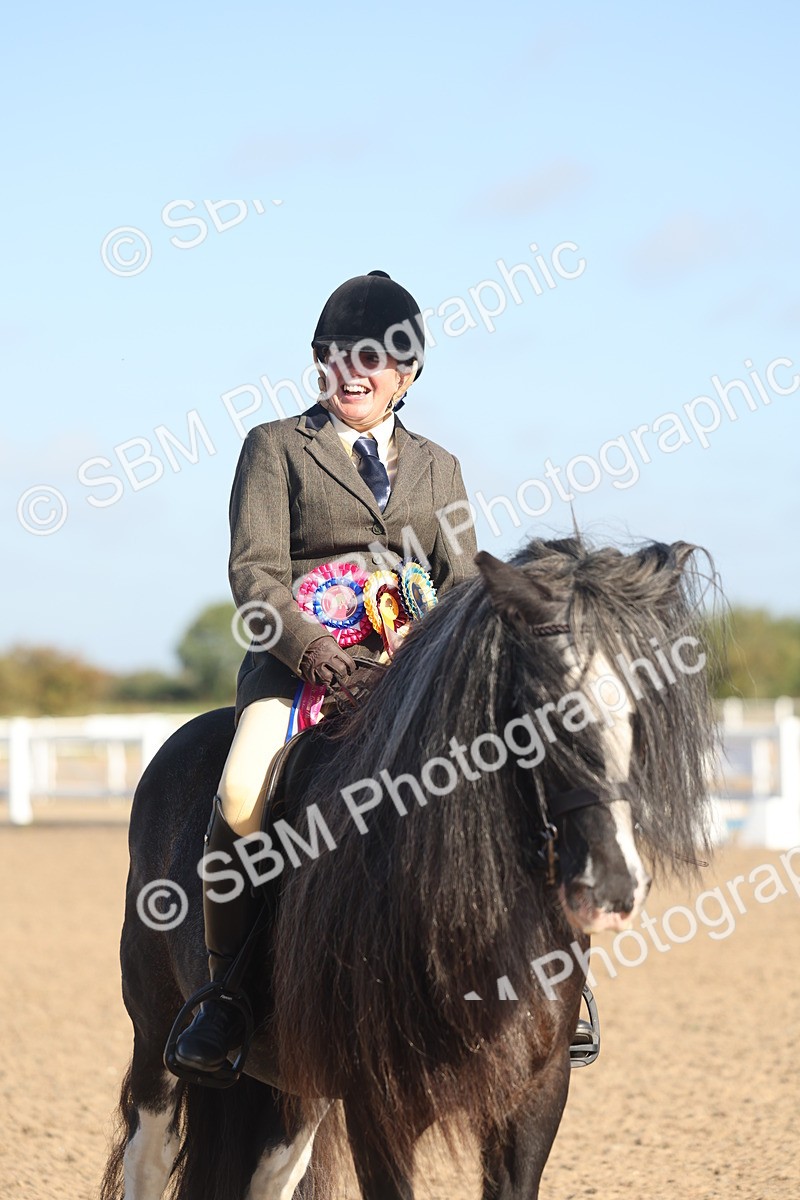 SBM_22255 - Class 802 - Ridden Groom Helpers Class