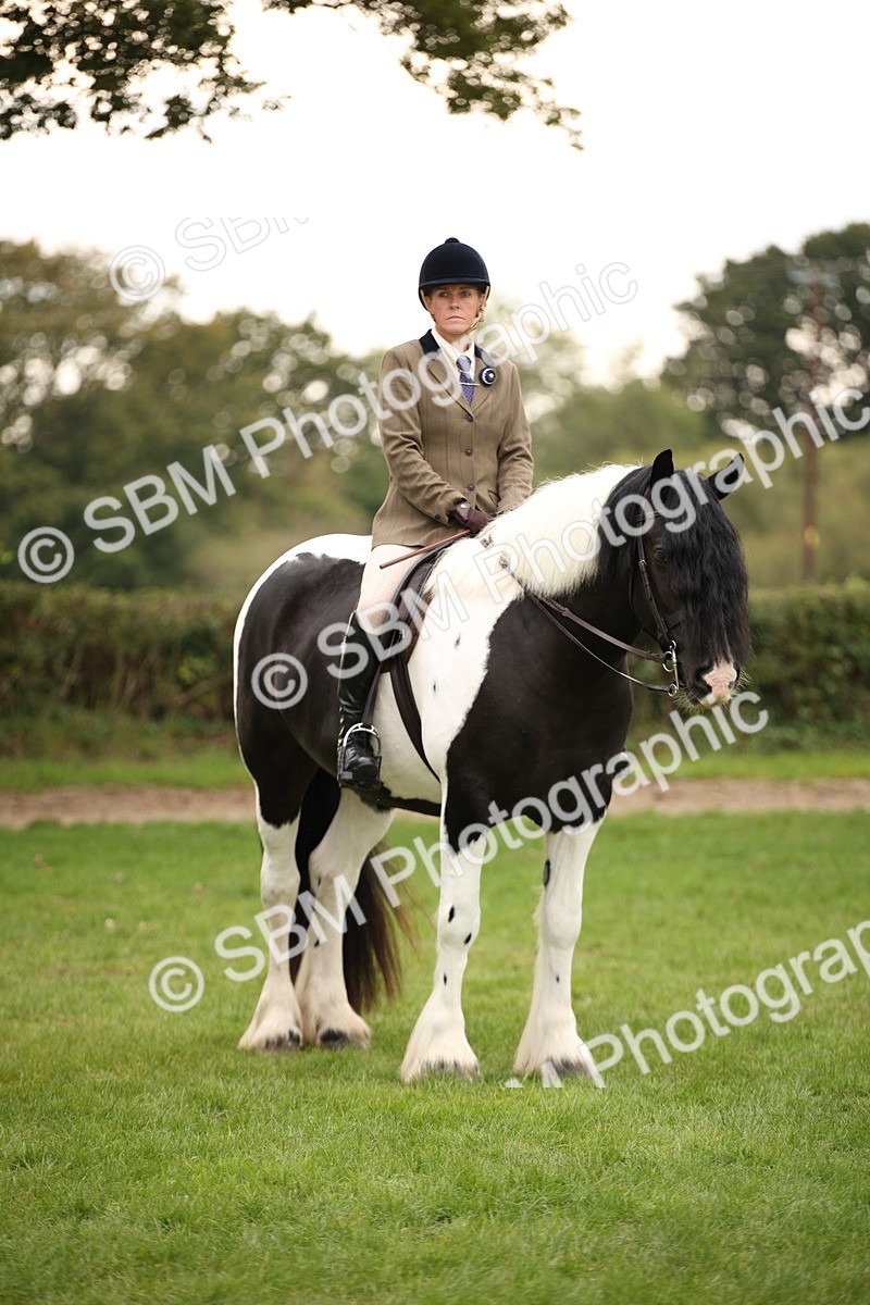 SBM_73564 - S68 - Traditional Cob Ridden