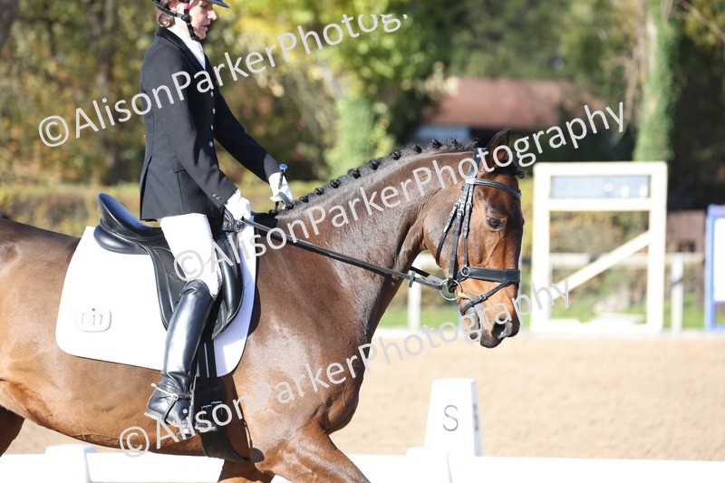 20251102-0864 - Class 5 - Elementary 5