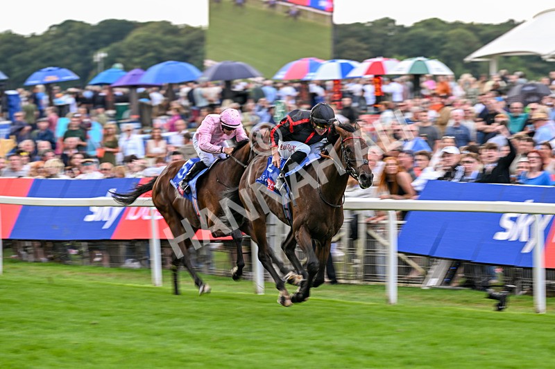 190826-Race 3-Maltese Cross-1061 - Race 3 15.00pm Sky Bet Great Voltigeur Stakes
