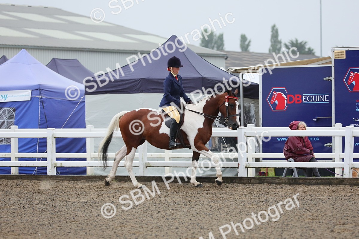 SBM_19905 - Class 801 - Ridden Veteran