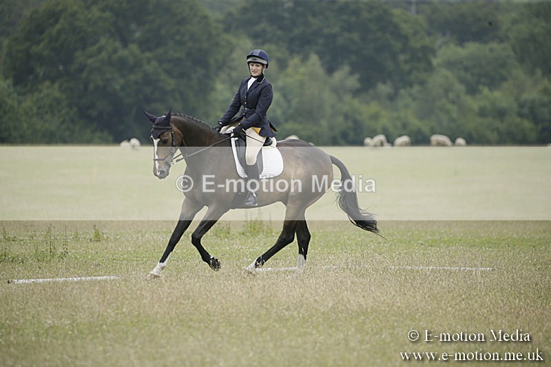 B230619-0899 - Bourne Valley Riding Club Summer Show 23/06/19