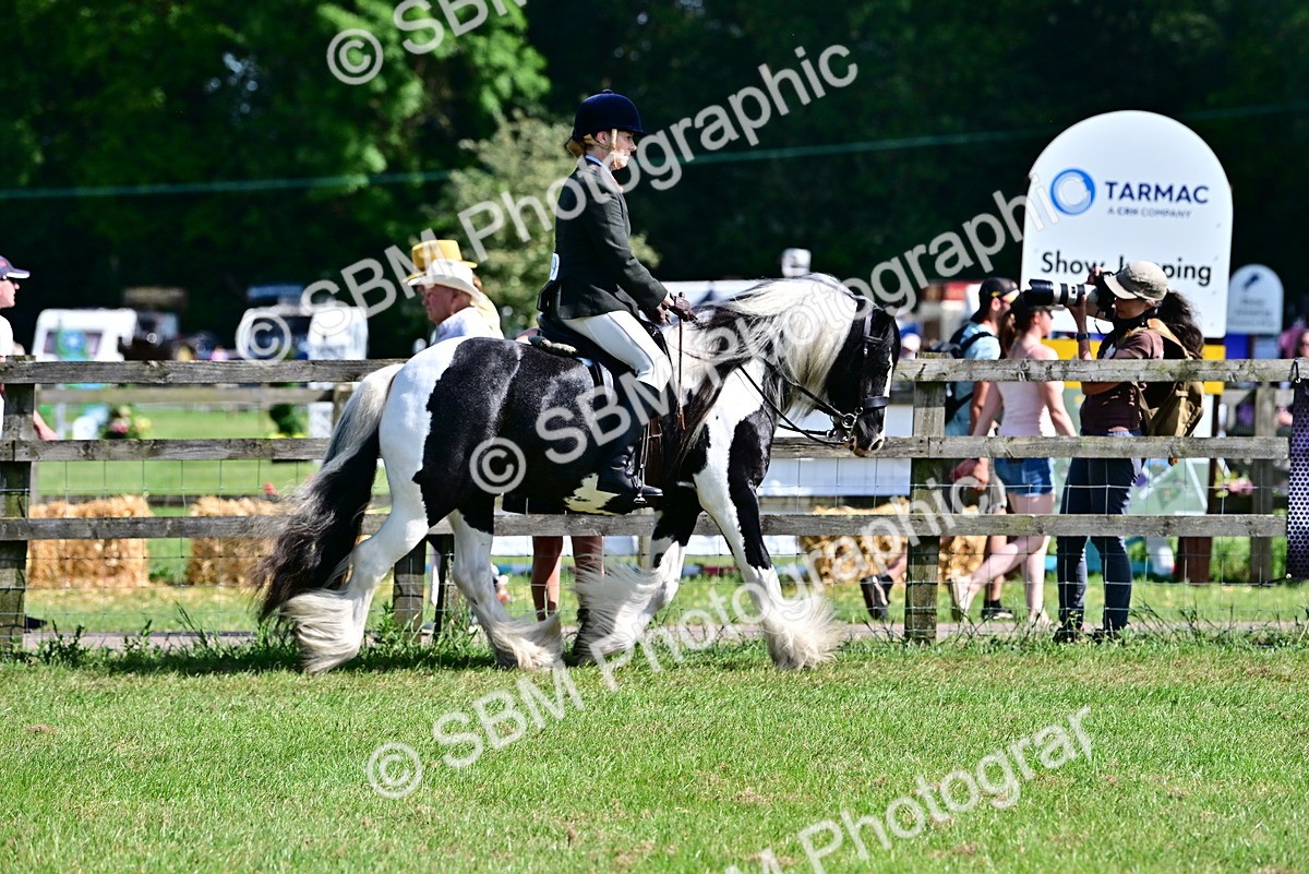 SBM_09304 - Class 63-65 - Traditional Gypsy Cobs In Hand & Ridden