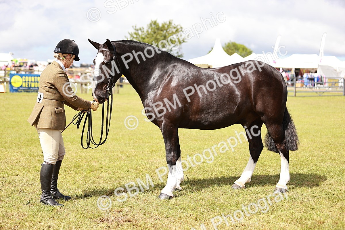 SBM_13130 - Class 85-87 - RIHS Cobs