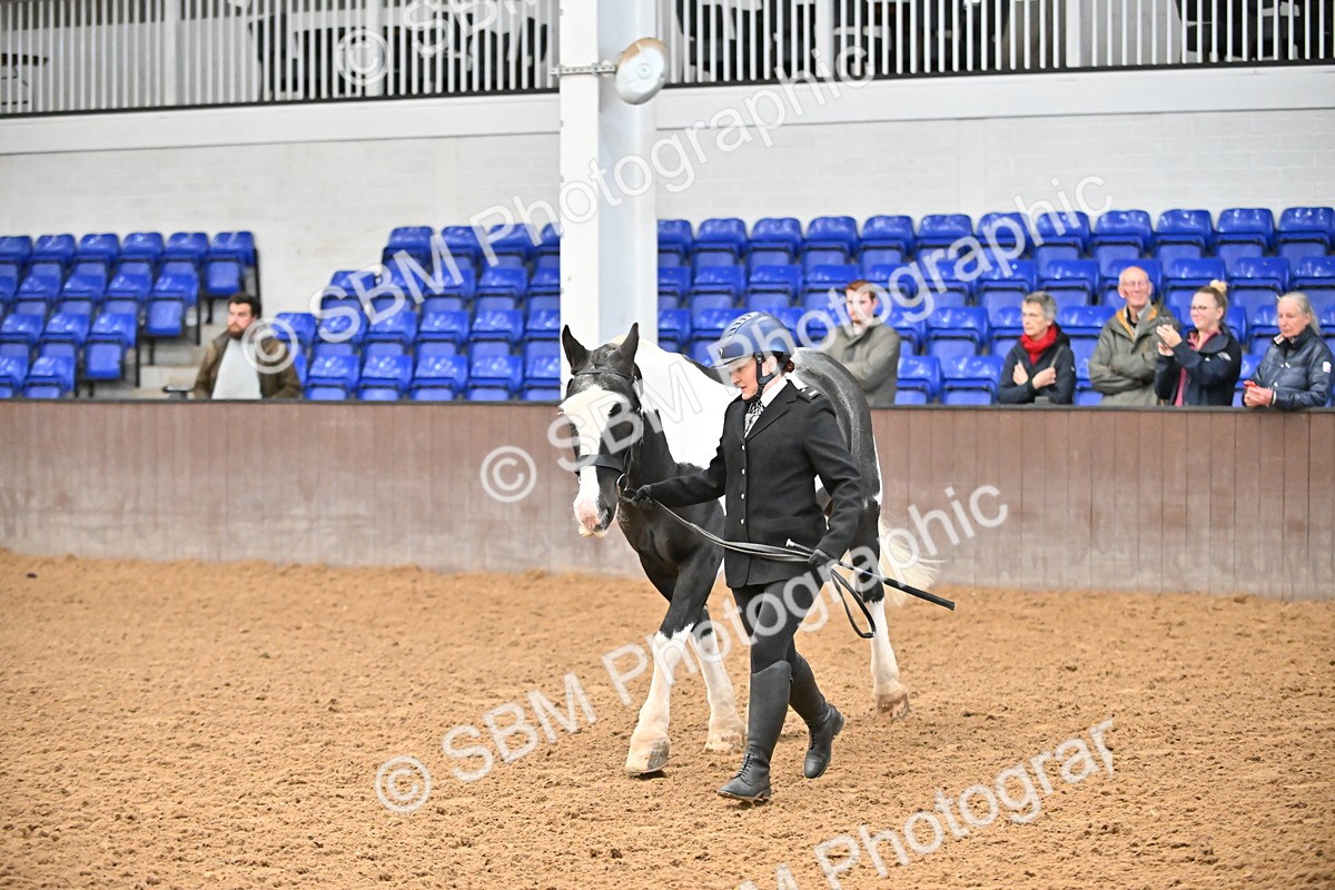 SBM_000043 - Class 1 - In Hand Cob