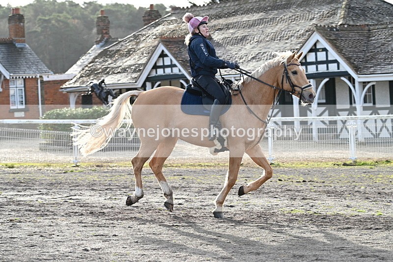 WJ7_9102 - Time 11:14 to 11:17