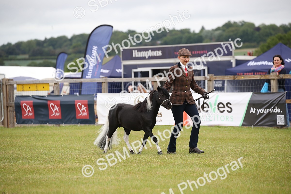 SBM_03715 - Class 23-25 - British Miniature Horse of the Year