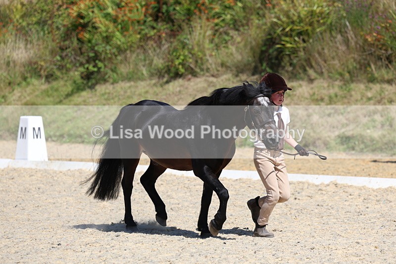 3E7A9646 - Class 32: Best Grass Kept