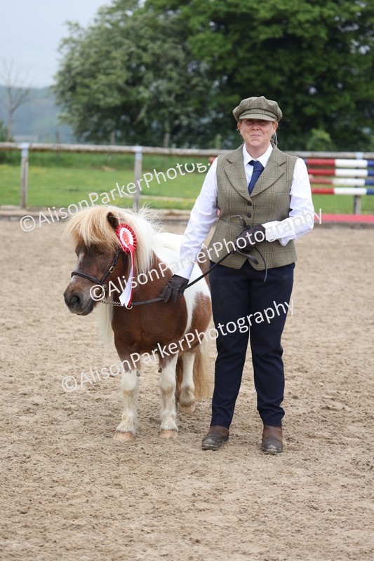 20260504-0535 - Class 4 - Minitures and Shetlands