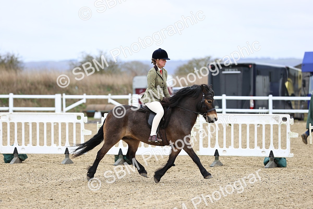 SBM_006859 - Class 29 - 30 - M&M Pure Novice Small-Large Breeds