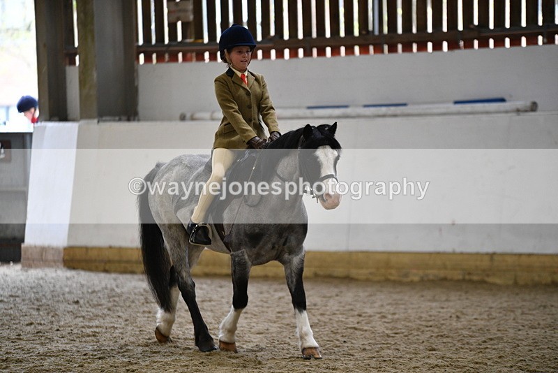 WJ5_6884 - Class 10 Childs Pony