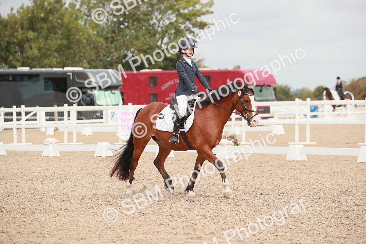 SBM_02703 - Class 30 - Intro 1