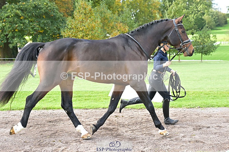 241023-131927-00205 - 012-Mollie.Summerland-SKITTEL.D'EKWI