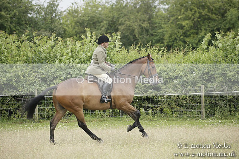 B230619-0962 - Bourne Valley Riding Club Summer Show 23/06/19