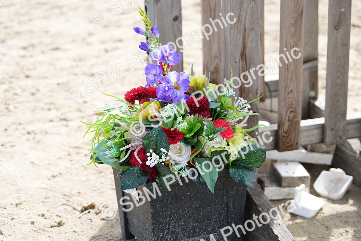 SBM_40786 - Supreme championship 50cm 55cm