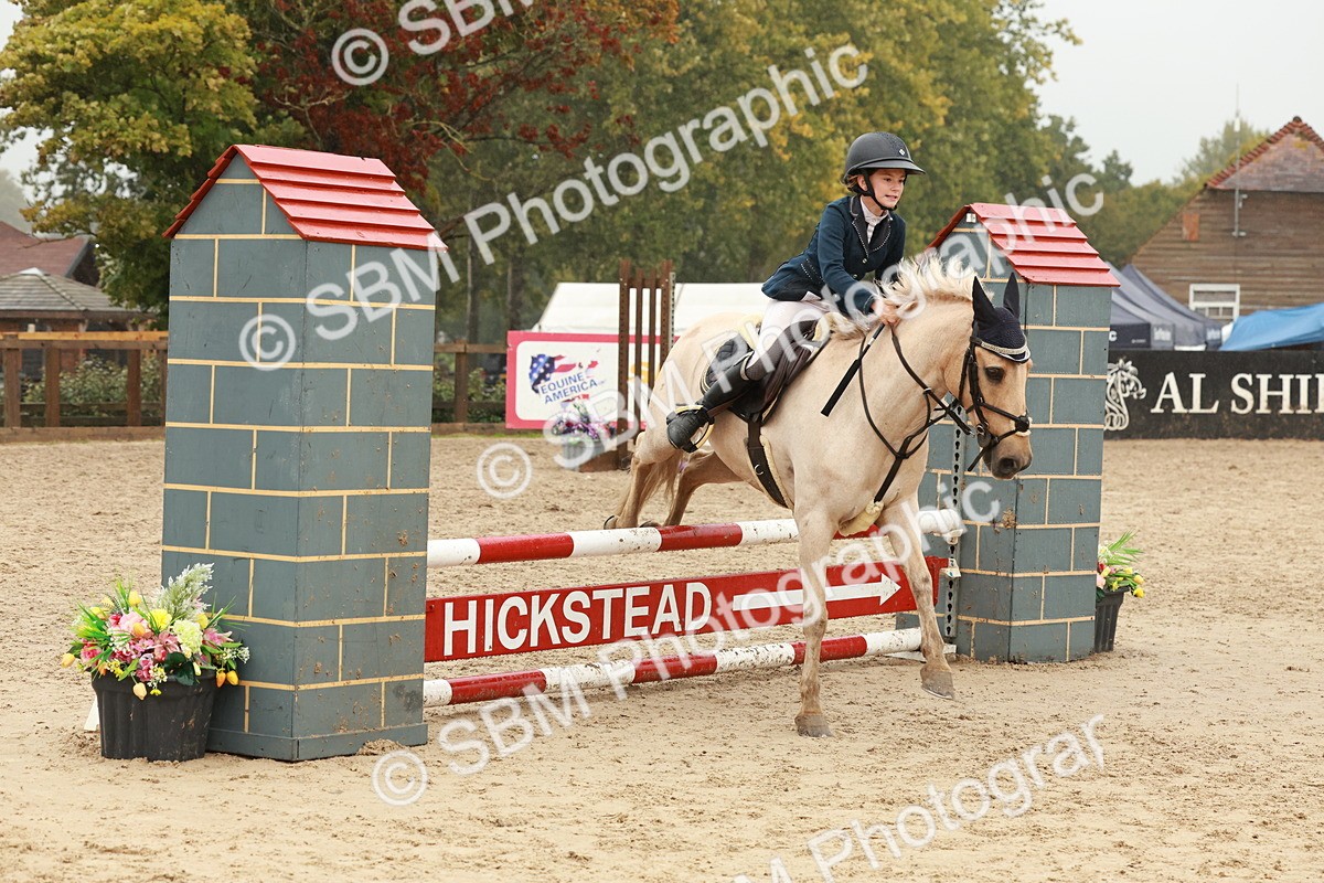 SBM_73311 - Supreme Championship Junior Pony 60cm & 65cm