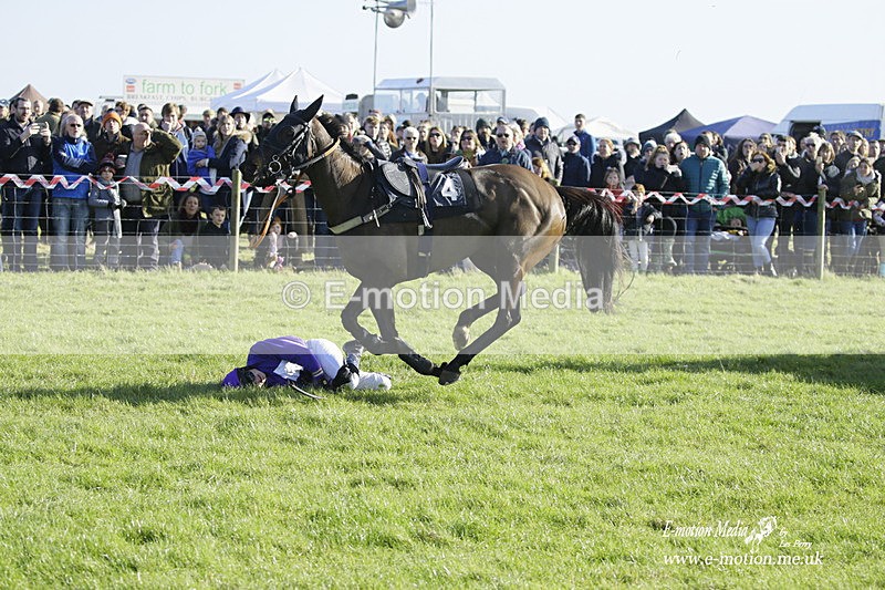 PtP 300122 139 - South Dorset Hunt - Point-to-Point Races 30/01/2022