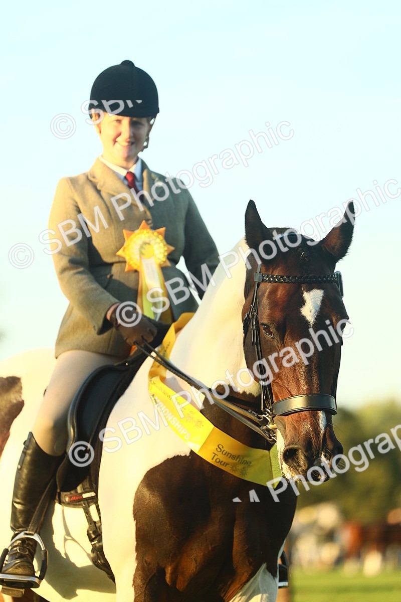 SBM_56534 - S14 - Riding Club Horse