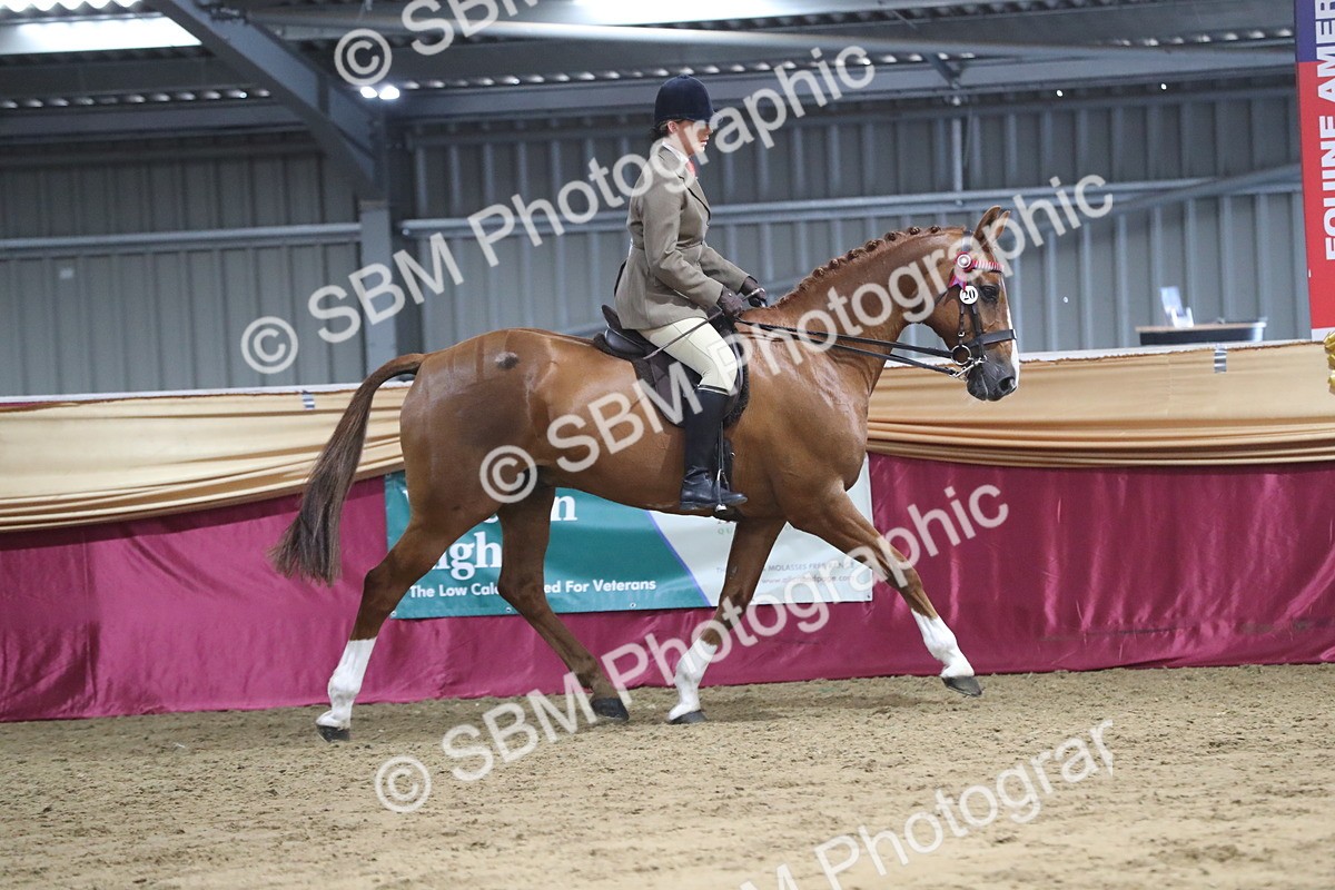 SBM_08429 - Class 11R Regional Ridden Veteran