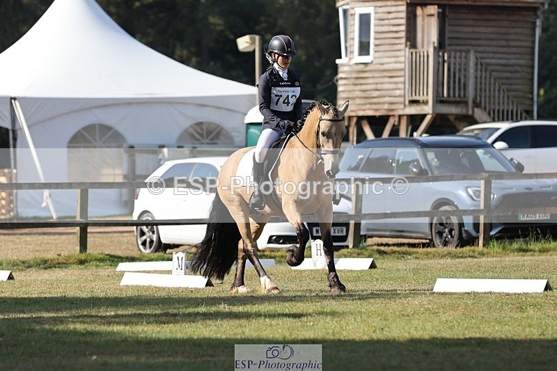 250823A-095116-26949 - Arena C