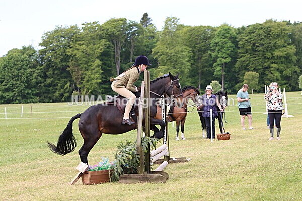 IMG_2467 - Working Hunter